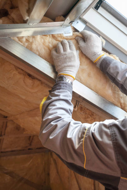 Best Commercial Insulation in Washington, MO